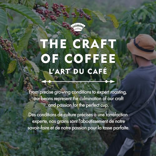 Balzac's Coffee Roasters, Balzac’s Blend, 100% Arabica Coffee, Medium Roast, Whole Bean Coffee, 340g
